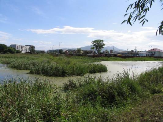 ��. ������