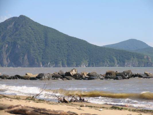 ���� ������