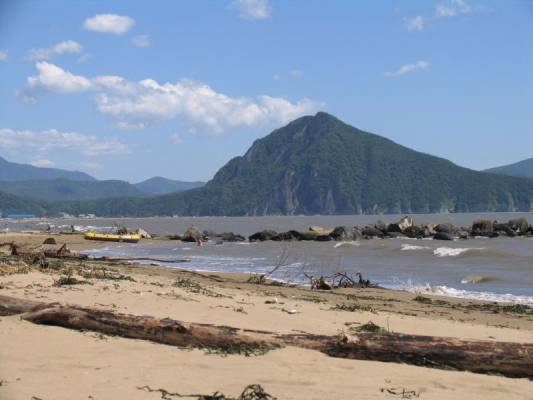 ���� ������