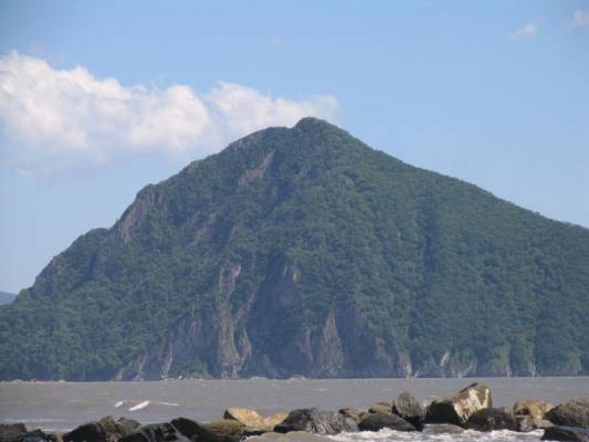 ���� ������