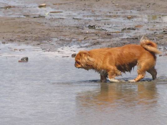 ������ ����� ����� ��������.