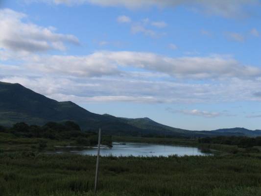 ������������