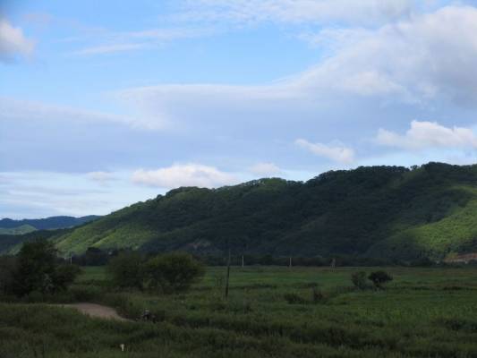 ������������