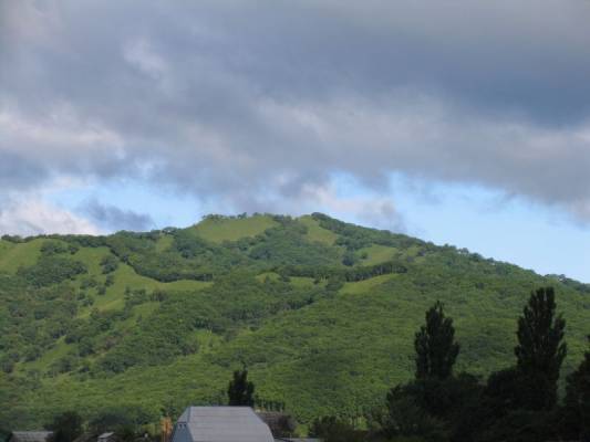 ������������