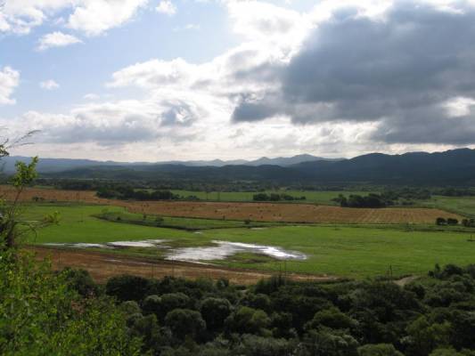 �������