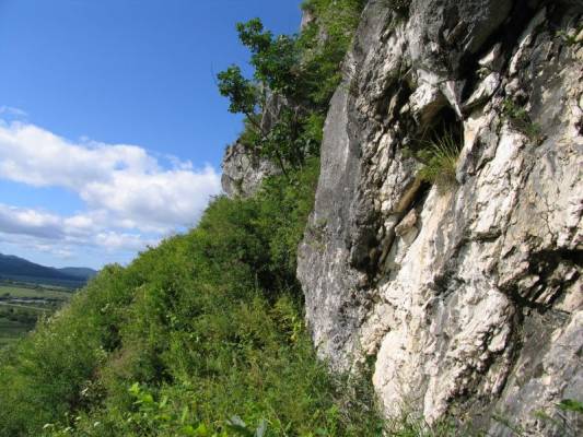 �������