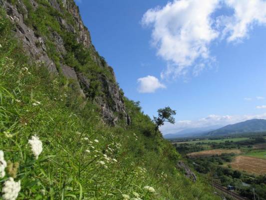 �������