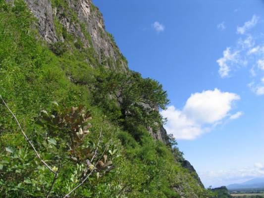 �������