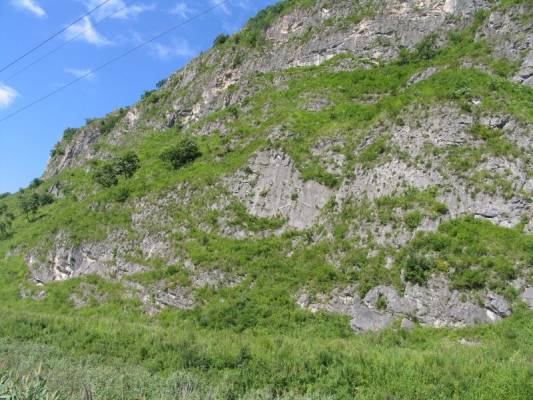 �����  � ��������