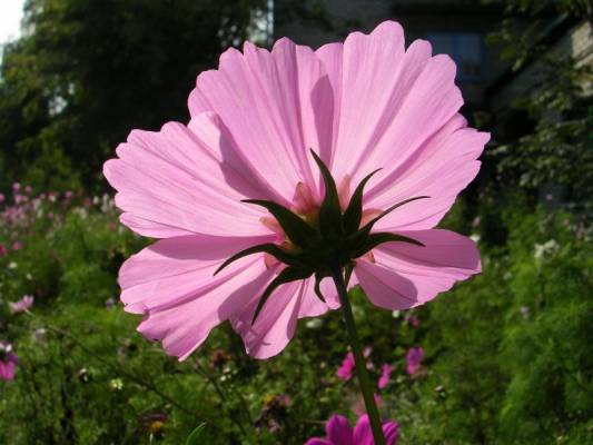 ��������� ������