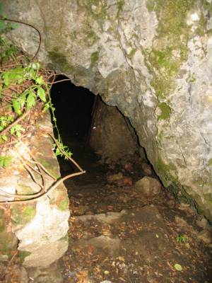 ���� � ������