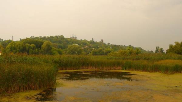 �.�����, ��� �� �������������� ����� �� ������� �������