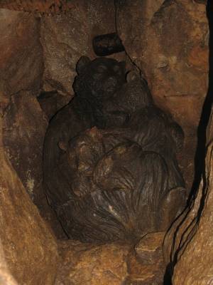 �������