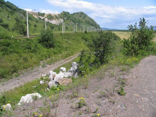 �������