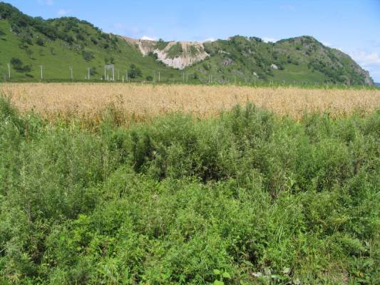 �������