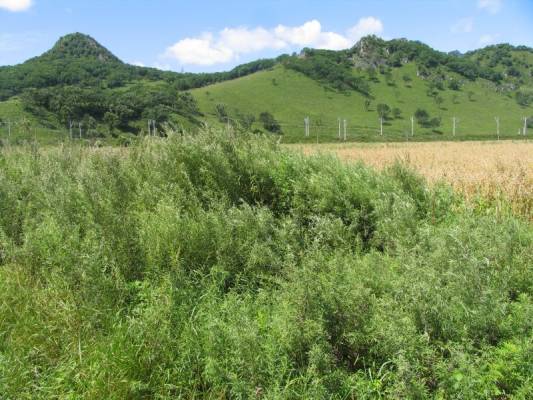 �������