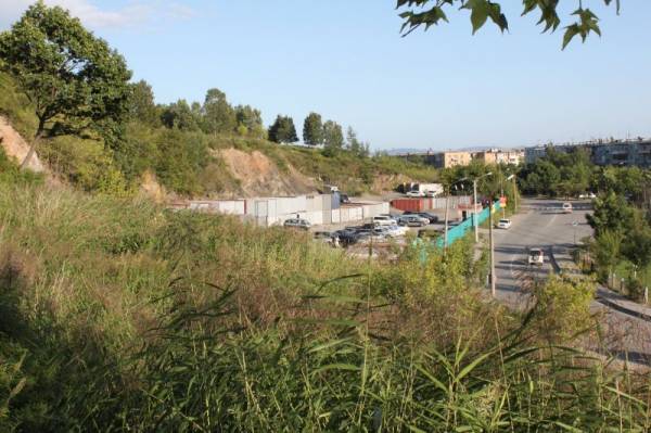 ���� �������