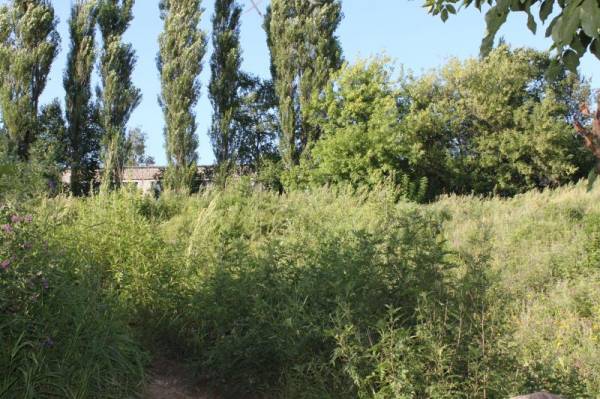 ������� ���