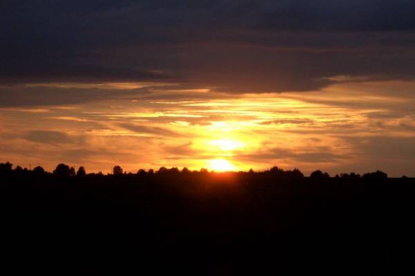 �� ������