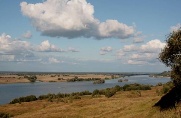 �������������. ������ �������