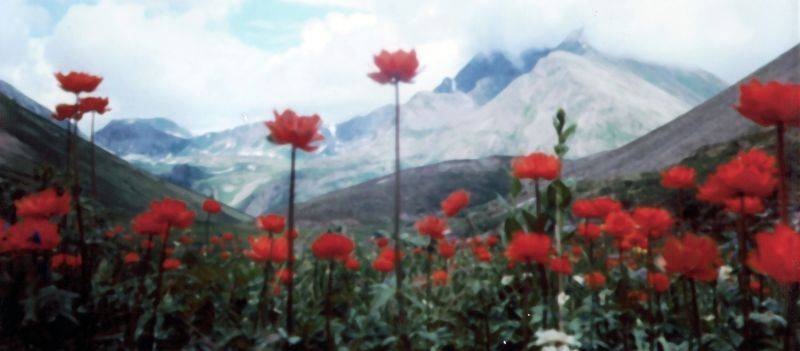 �������� ����