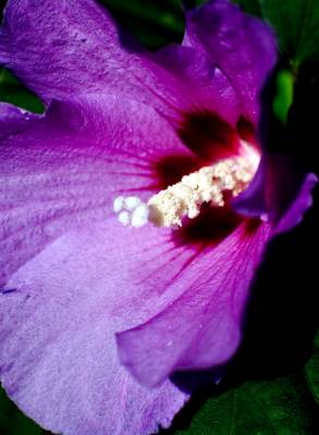 ���� � ���� 