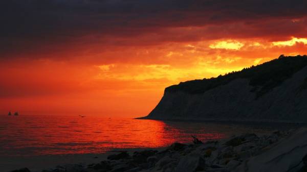 �������. �����