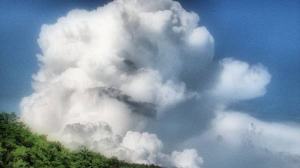 ������ ��� ������