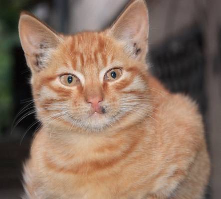 ���� � ���...