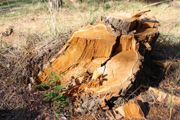 ... ��� ���� ����...