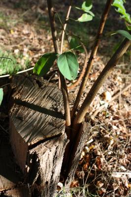 ���� � �����!