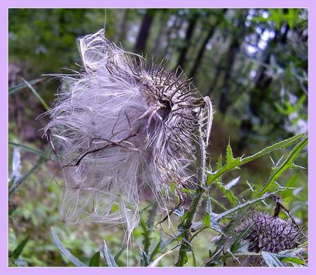 ��������� ������