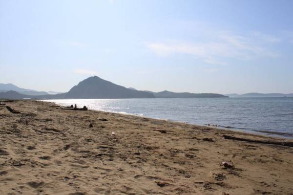 ���� �� ����