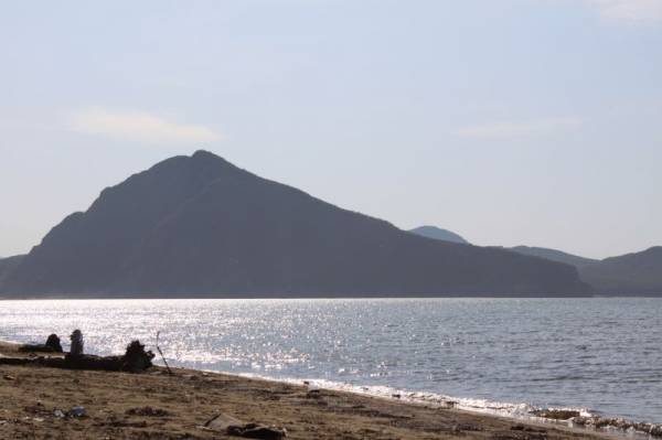 ����, �. ������