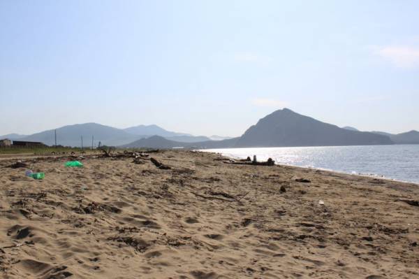 ���� �����