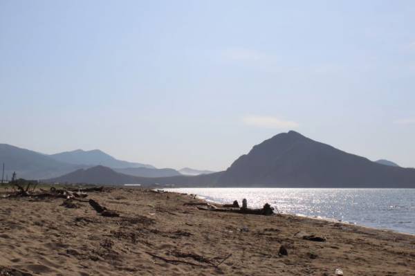 ���� �����