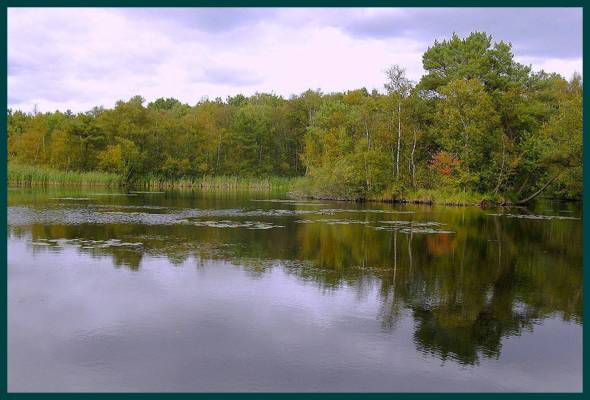 ������� �����