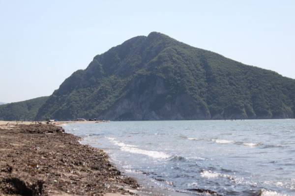 �. ������