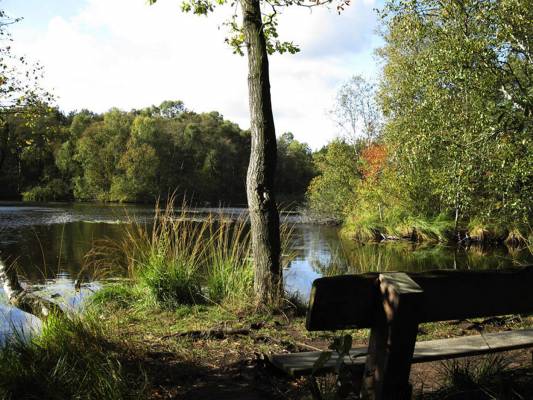 ����� �������