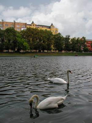 ����� �� ����������