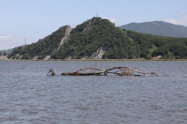 �. ���������