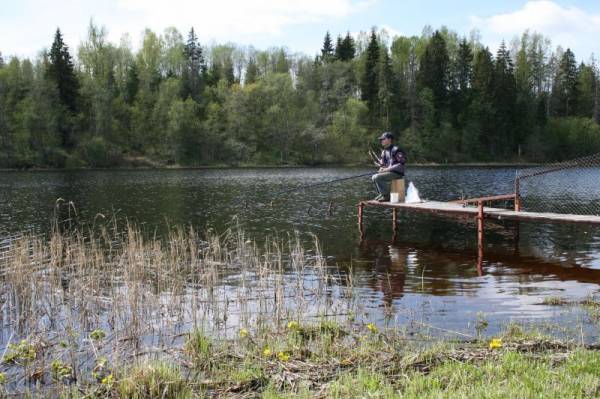 � ���� ����� �� ����� ��������-�������...