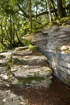 ������ �����