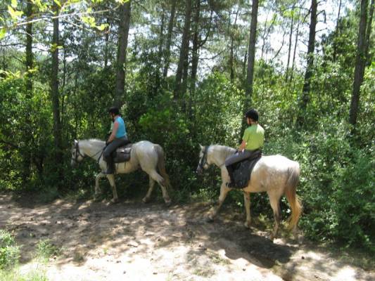 ������ �����