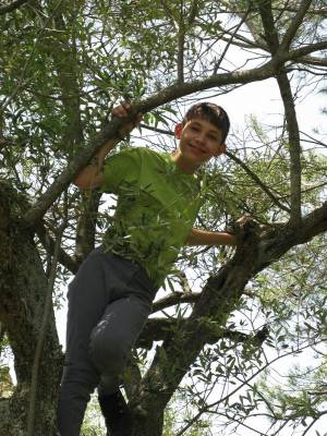 ������ ���