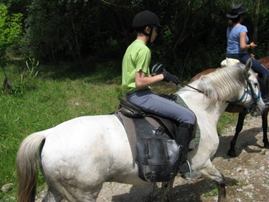 ���� � ����