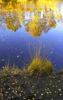 � ������� ���� �����