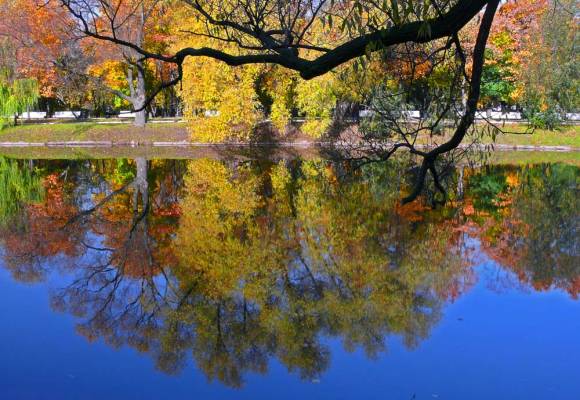 �����������