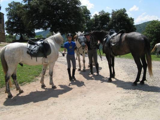 ������� ��������