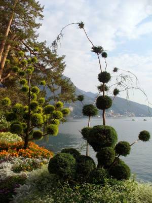 ������. ������ �����...